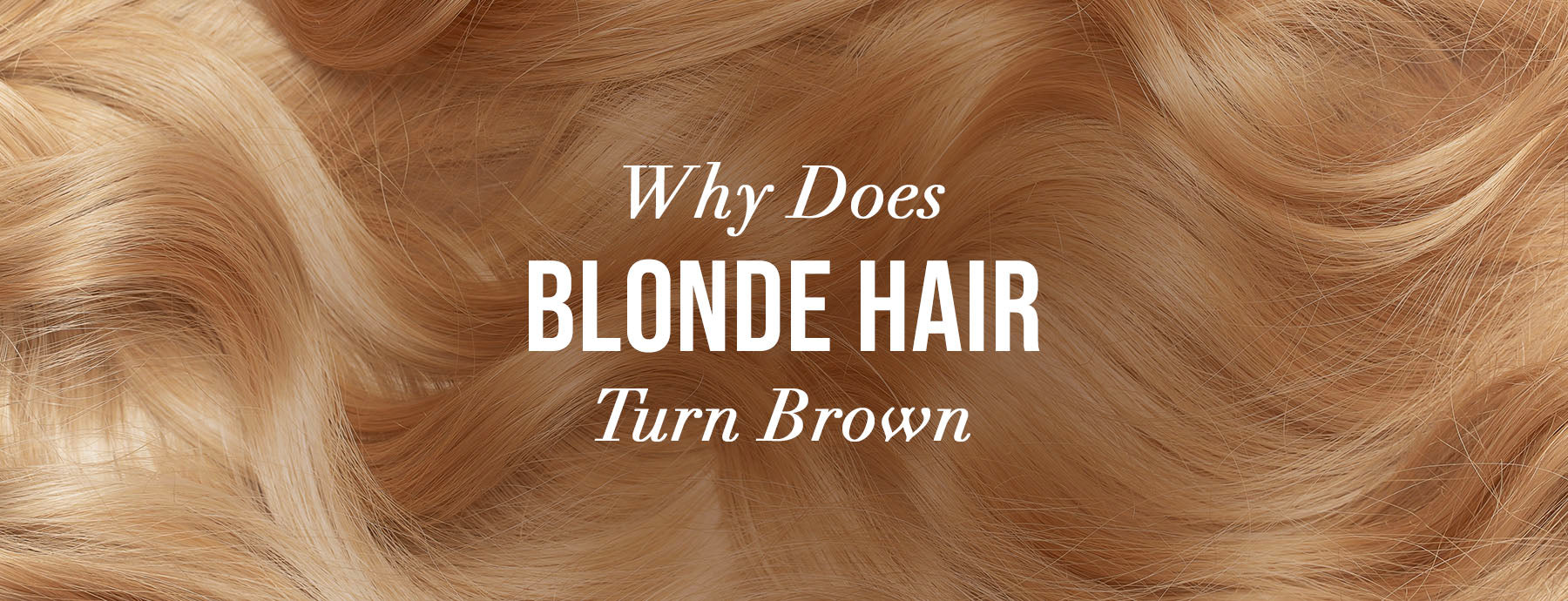 Ask Dr. Joe: Why Does Blonde Hair Turn Brown? – Color Wow Uk