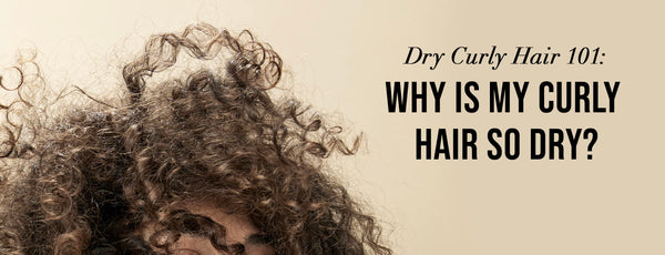 Dry Curly Hair 101: Why Is My Curly Hair So Dry?