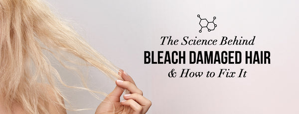 The Science Behind Bleach Damaged Hair & How to Fix It