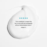 Color Security Conditioner (for Fine to Normal Hair)