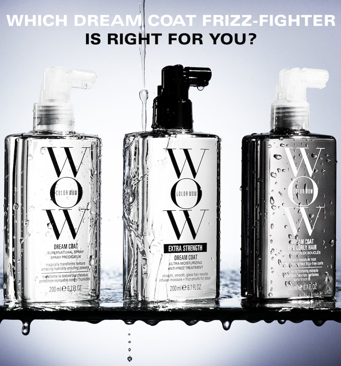 Which Color Wow Dream Coat is best for you?