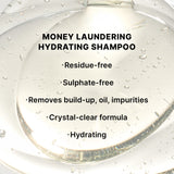 Money Laundering Travel Duo