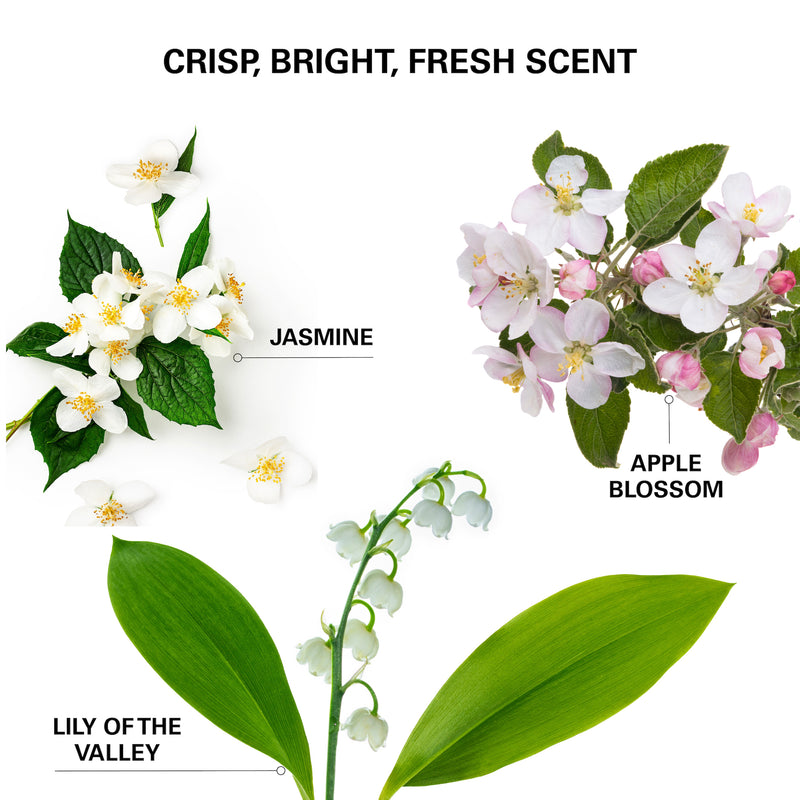 Jasmine, apple blossom, and lily of the valley flowers with labels on a white background.