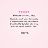 Dream Coat Curly Travel Kit